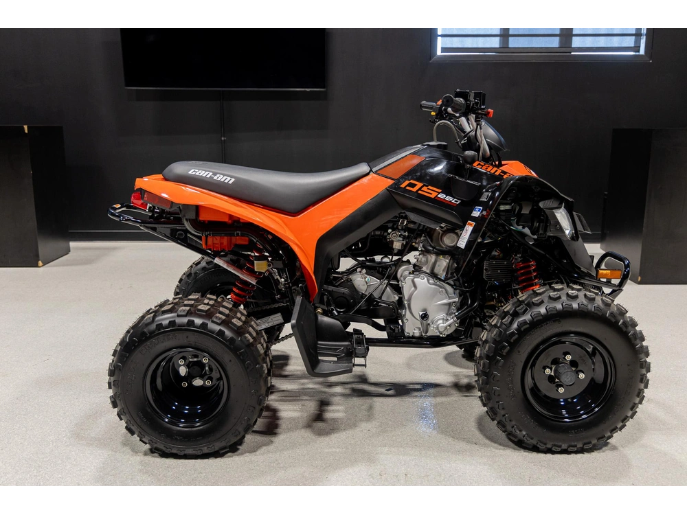 2026 Can-am Ds 250 3jta alt