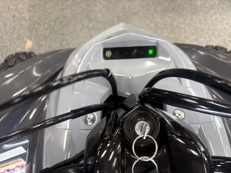 Yamaha Yamaha Raptor 700 2018 alt