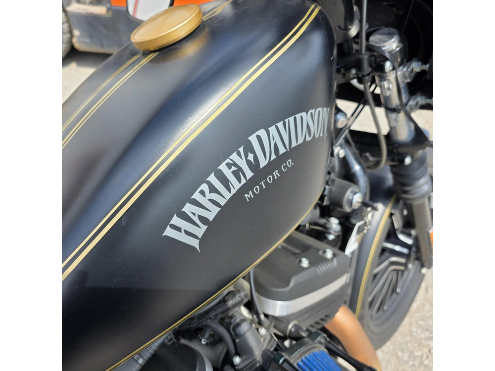 2015 Harley-davidson Xl883n - Sportster Iron 883 alt