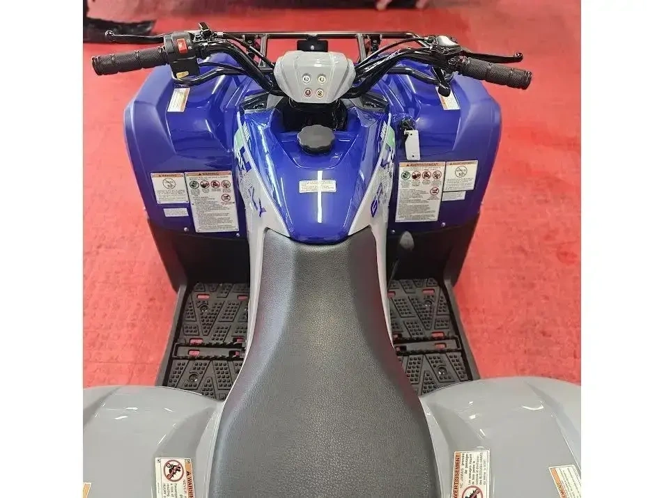 2026 Yamaha Grizzly 110 alt