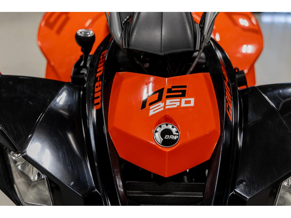 2026 Can-am Ds 250 3jta alt