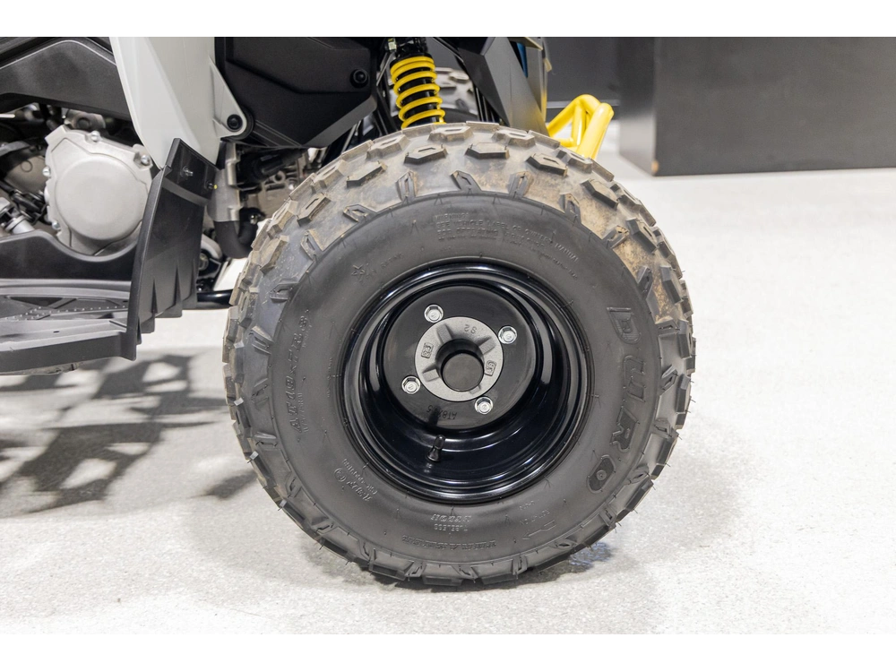 2026 Can-am Renegade 110 3mtc alt