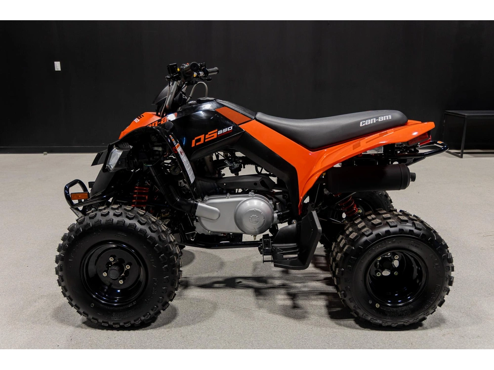 2026 Can-am Ds 250 3jta alt