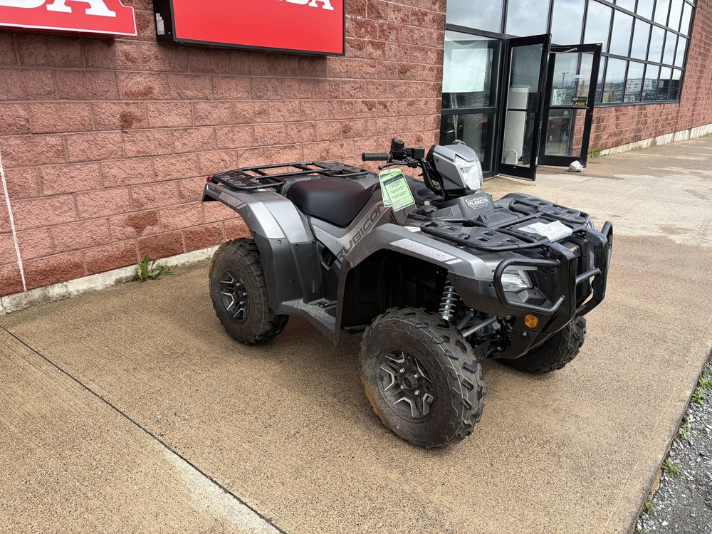 2025 Honda Rubicon Dct Deluxe - Grey alt