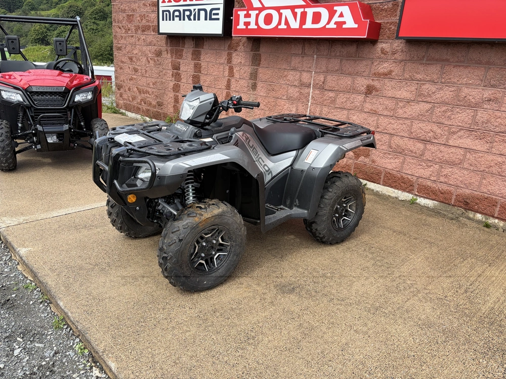 2025 Honda Rubicon Dct Deluxe - Grey alt