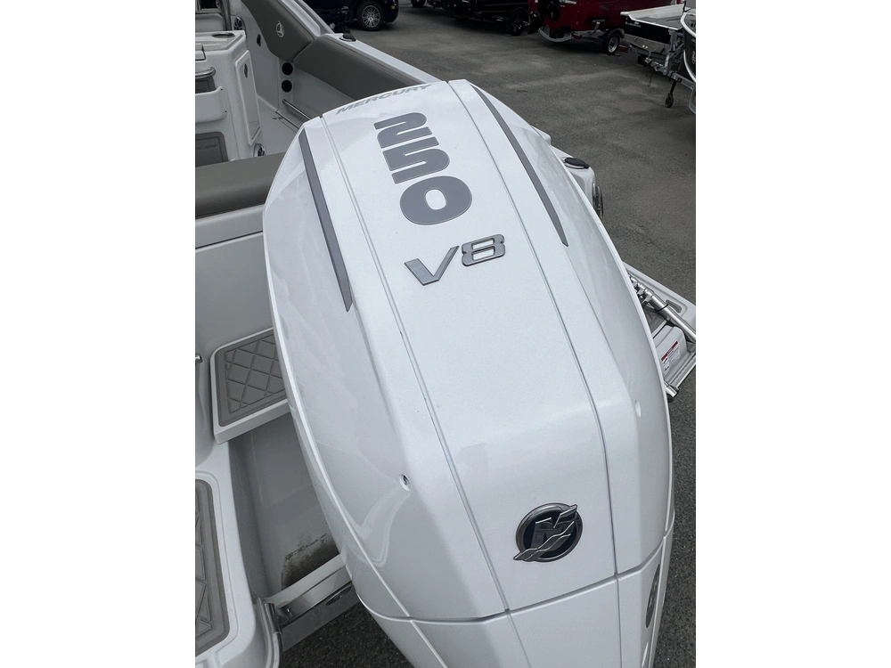 2024 Other 230cc alt