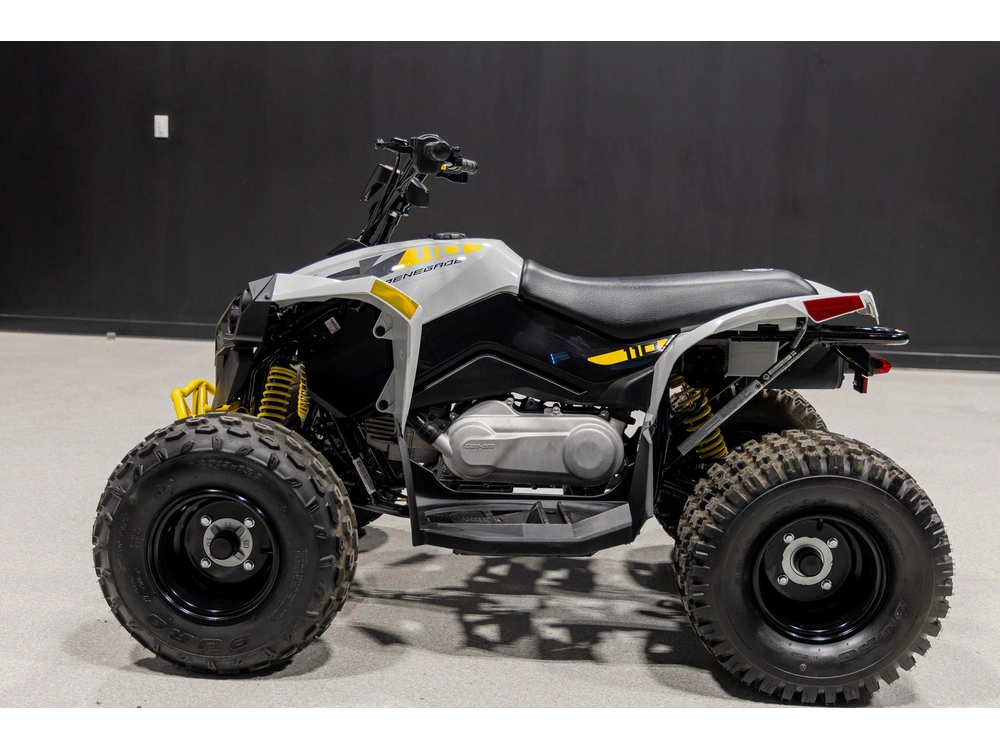 2026 Can-am Renegade 110 3mtc alt