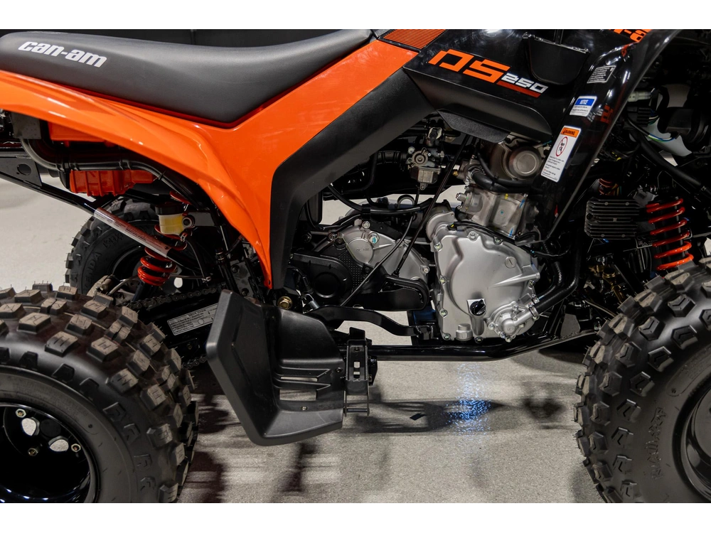 2026 Can-am Ds 250 3jta alt