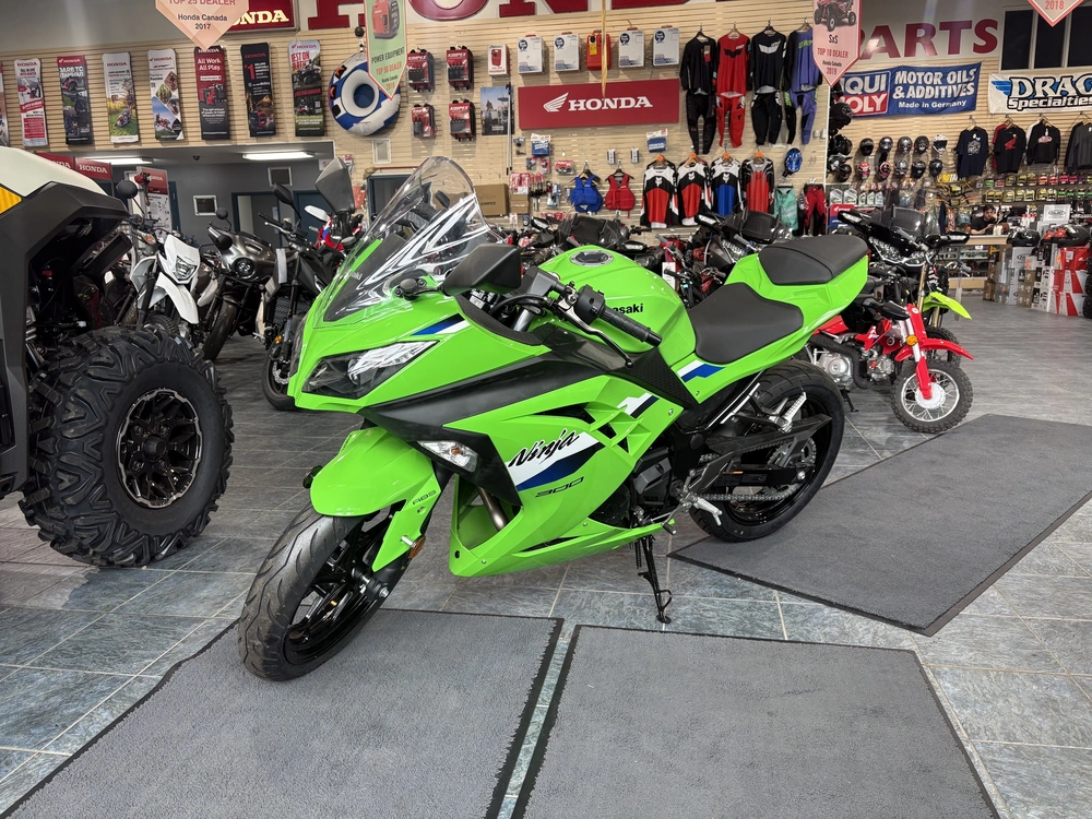2026 Kawasaki Ex300gtfnn alt