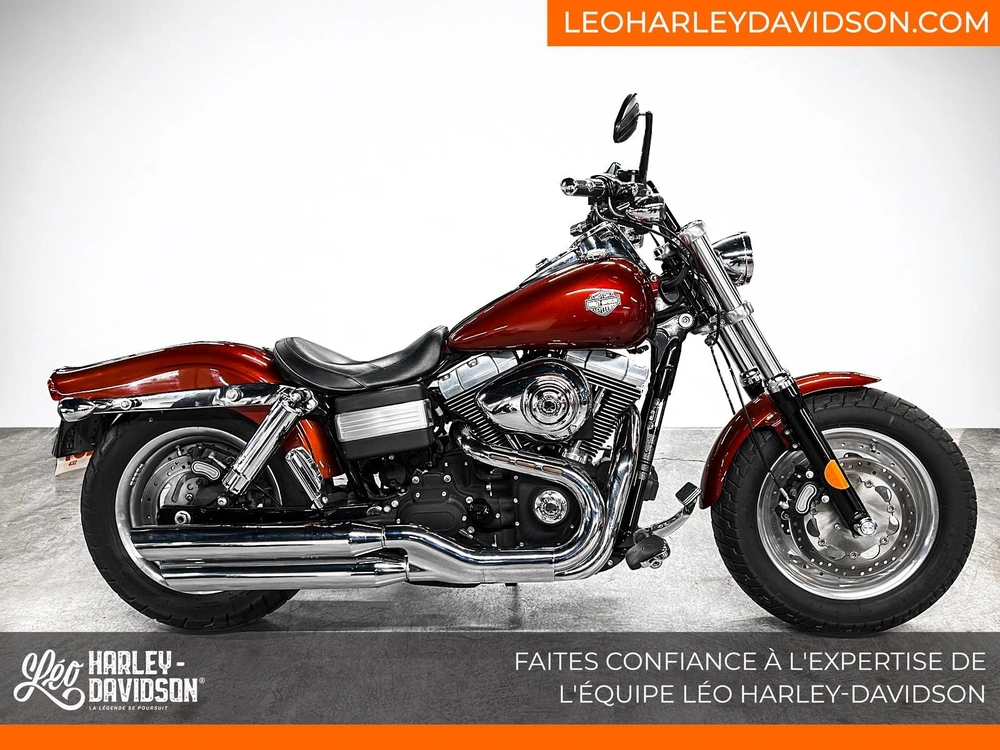 2010 Harley-davidson Fxdf Fat Bob alt