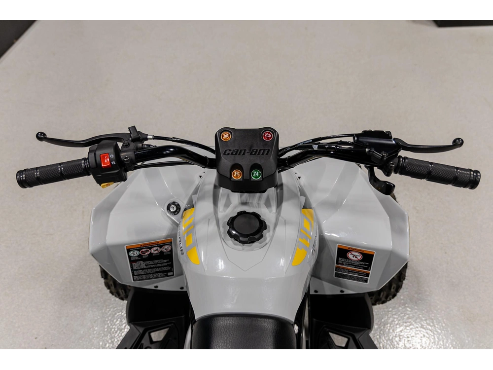 2026 Can-am Renegade 110 3mtc alt