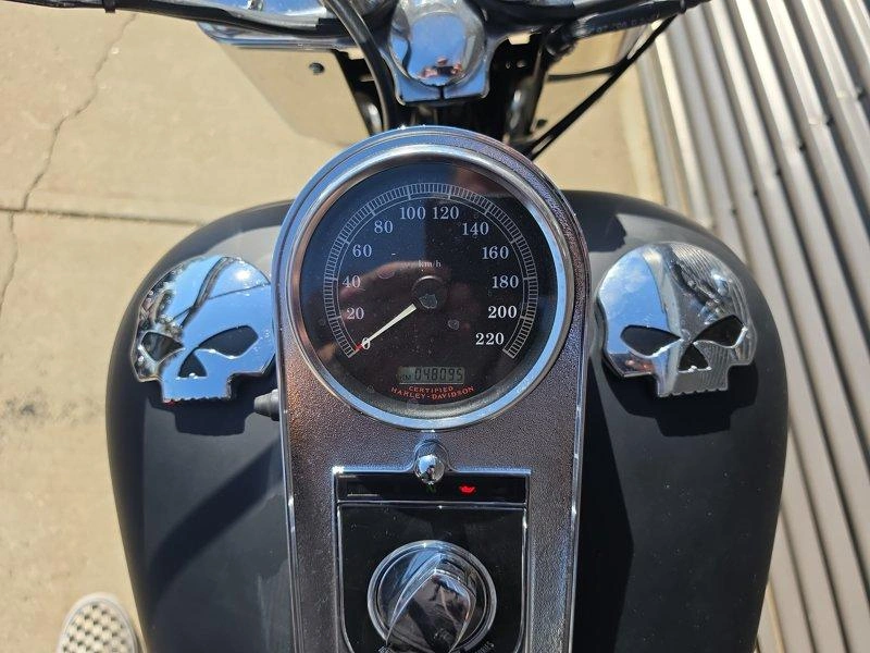 2006 Harley-davidson Cruiser Flstf - Fat Boy™ alt