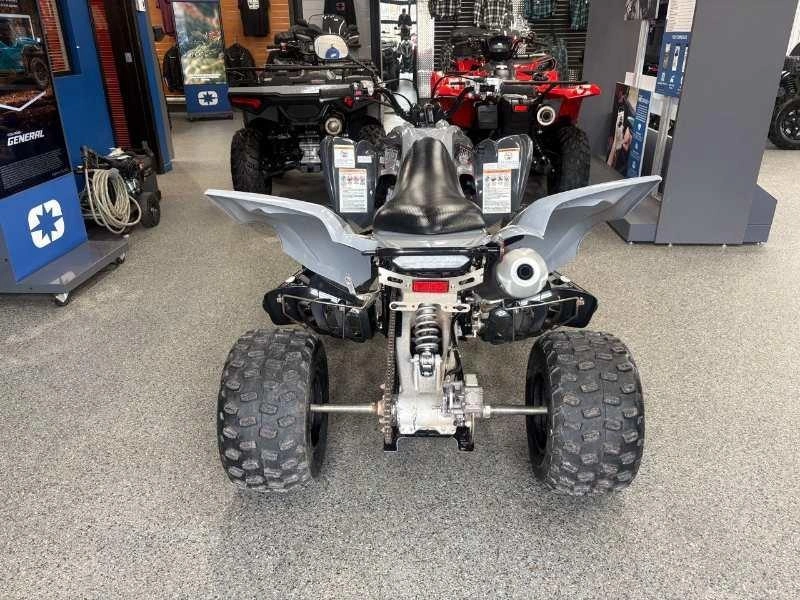 Yamaha Yamaha Raptor 700 2018 alt