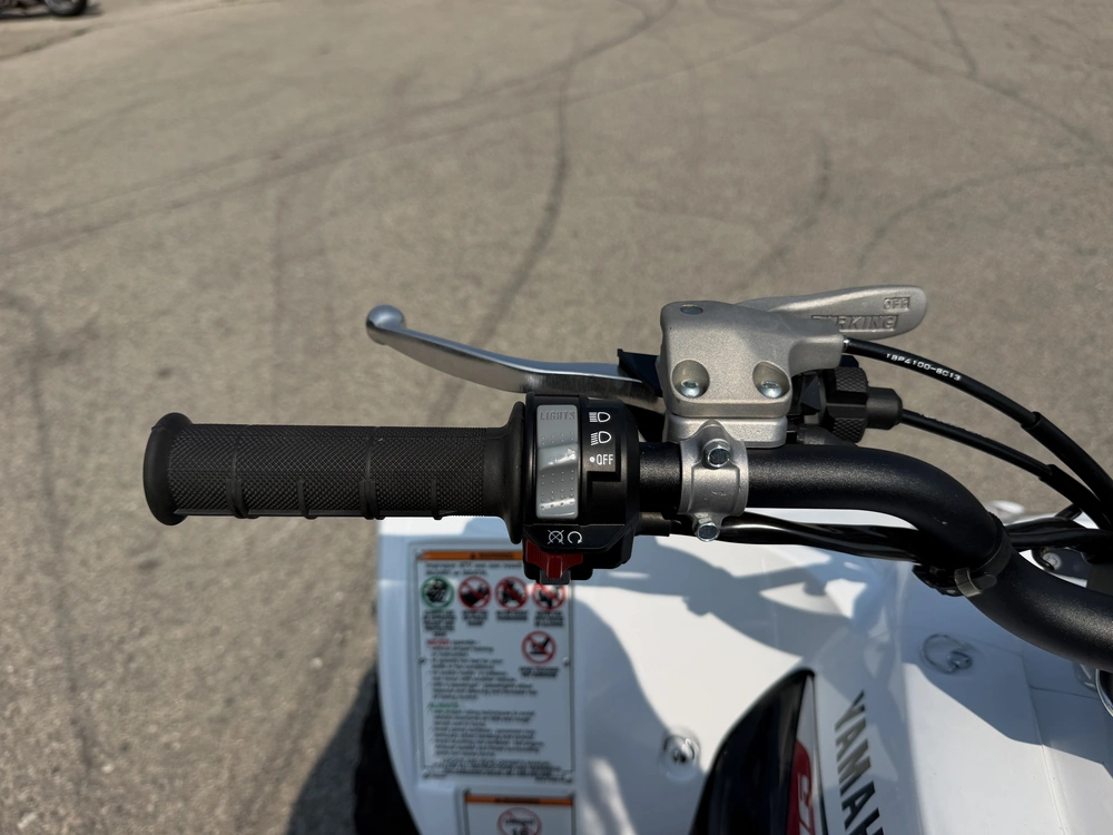 2026 Yamaha Yfz450r Se alt