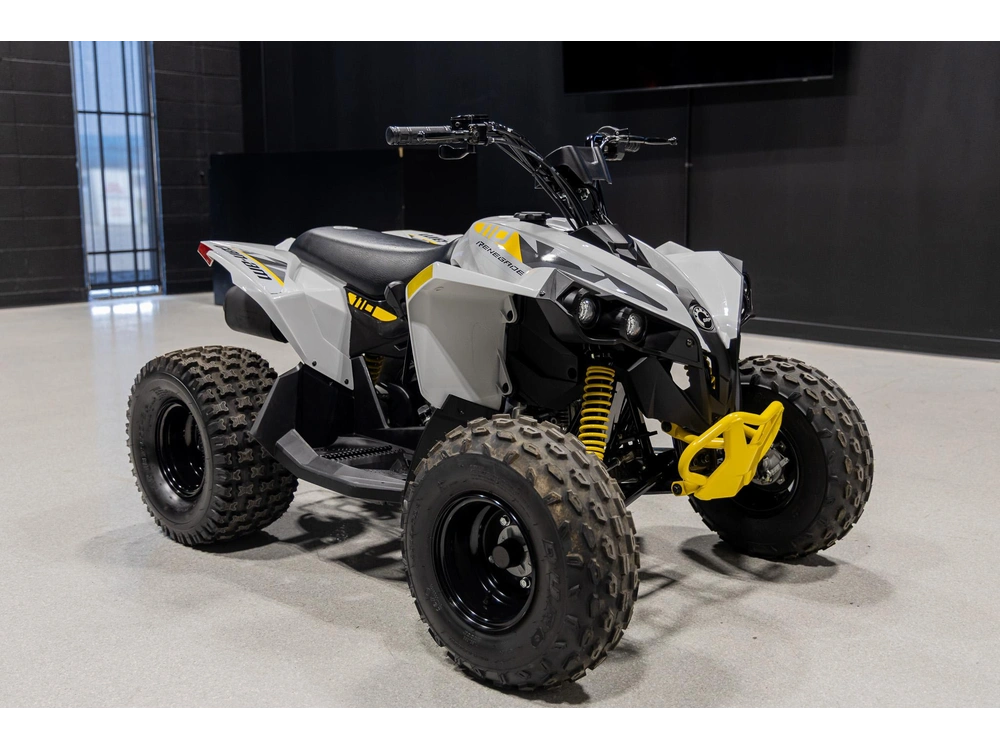 2026 Can-am Renegade 110 3mtc alt