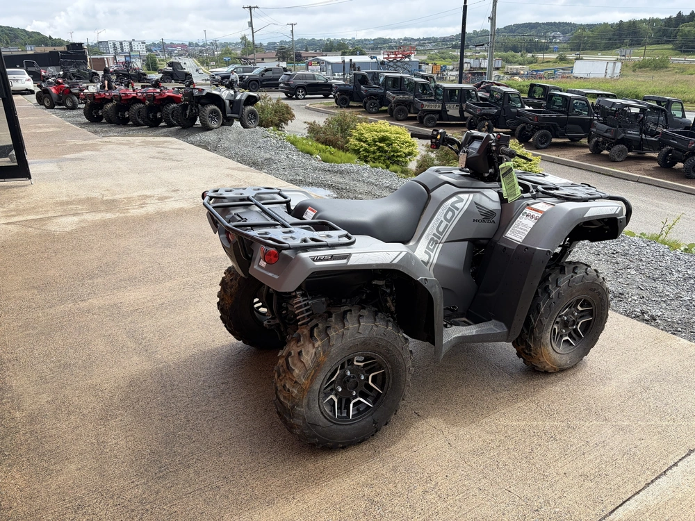 2025 Honda Rubicon Dct Deluxe - Grey alt