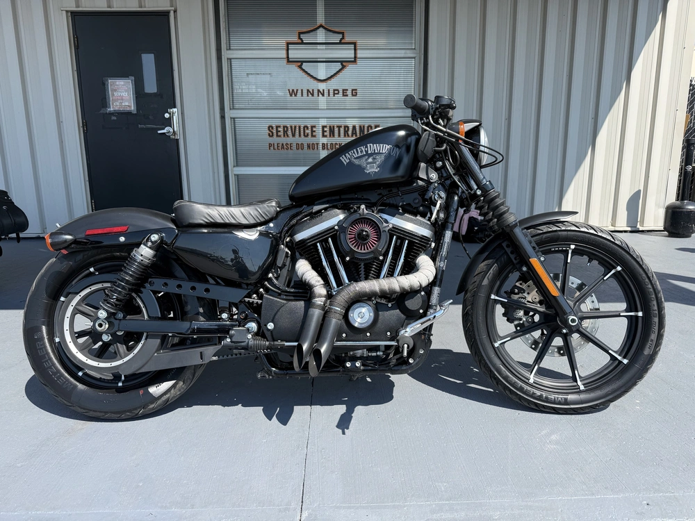 2017 Harley-davidson Iron 883 alt