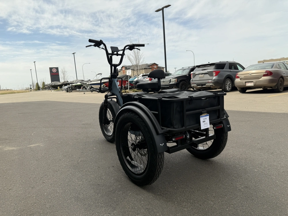 2026 Vamoose Cycle Tri-cycle Dst alt