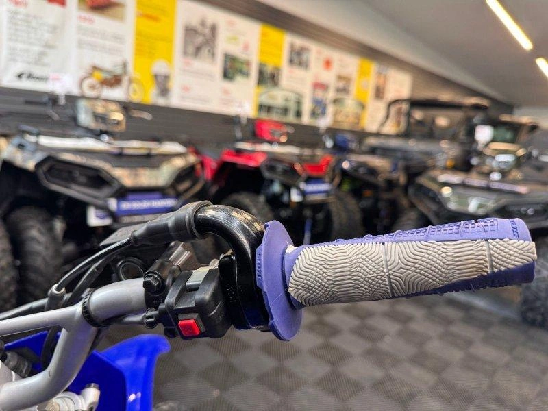 2024 Yamaha Tt-r125le alt