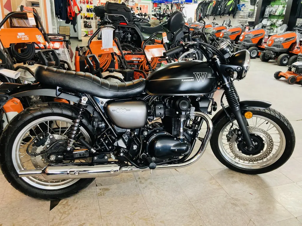 Kawasaki W800 2019