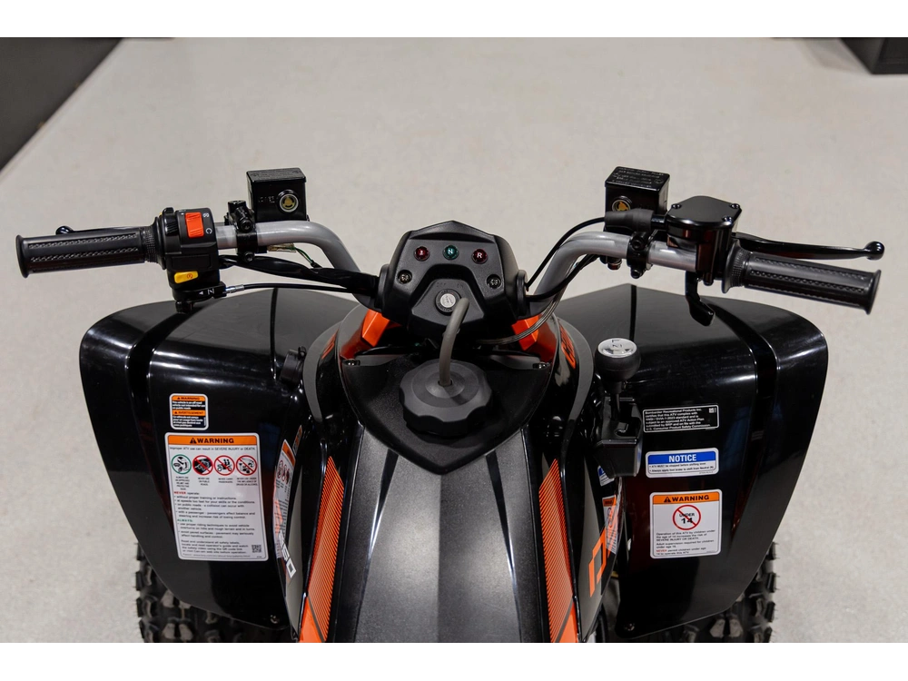 2026 Can-am Ds 250 3jta alt