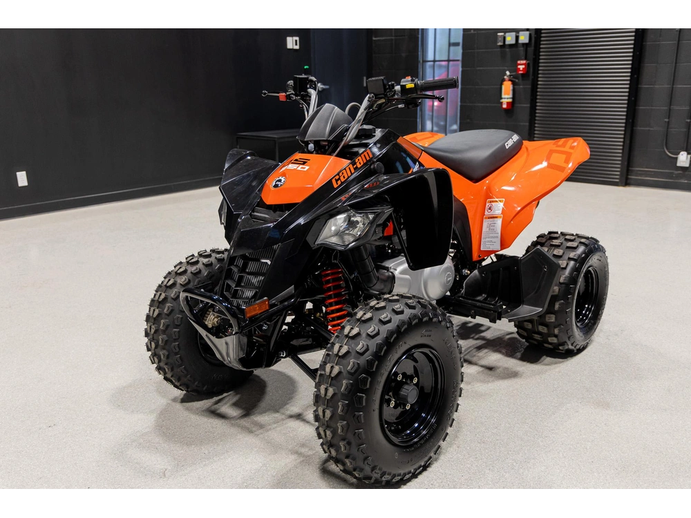 2026 Can-am Ds 250 3jta alt