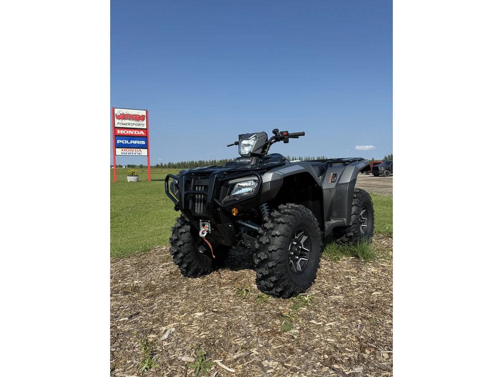 2026 Honda Rubicon Dct Irs Eps, Dlx Gray alt