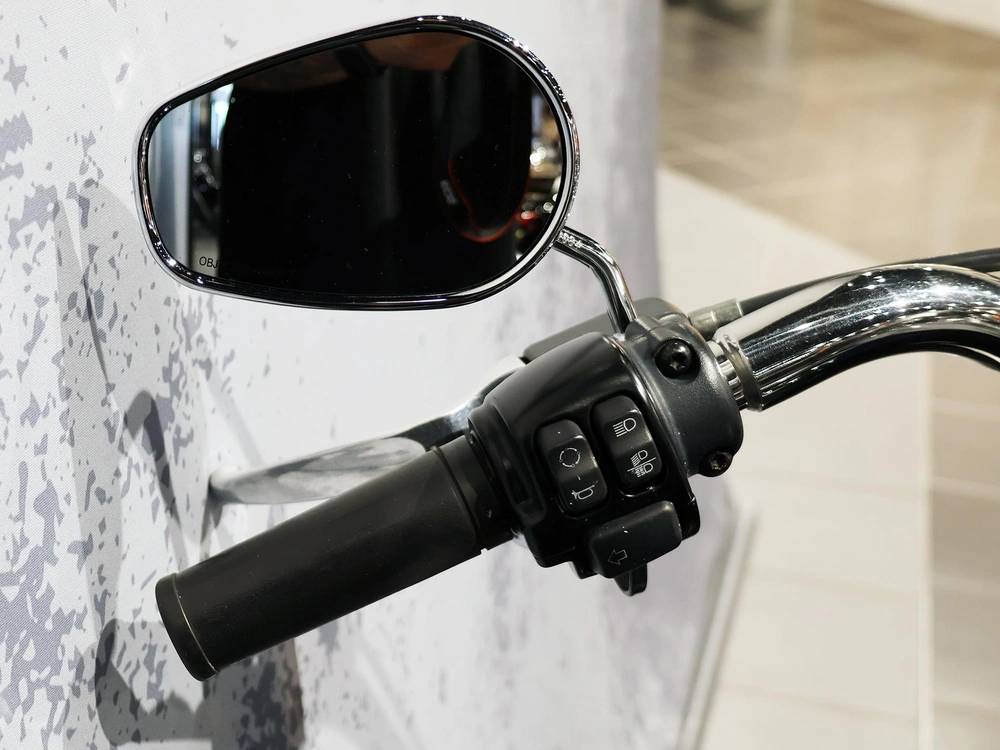 Harley-davidson Fat Boy Flfbs 2019 alt