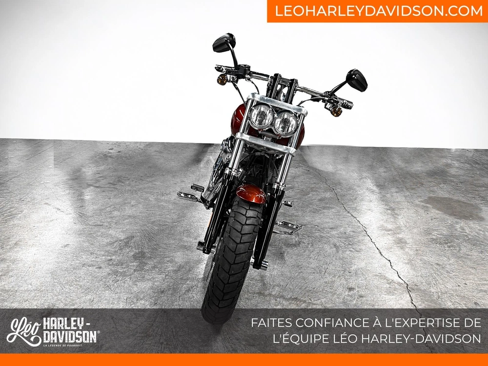 2010 Harley-davidson Fxdf Fat Bob alt