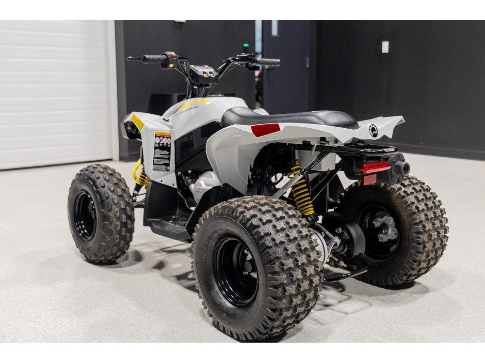 2026 Can-am Renegade 110 3mtc alt