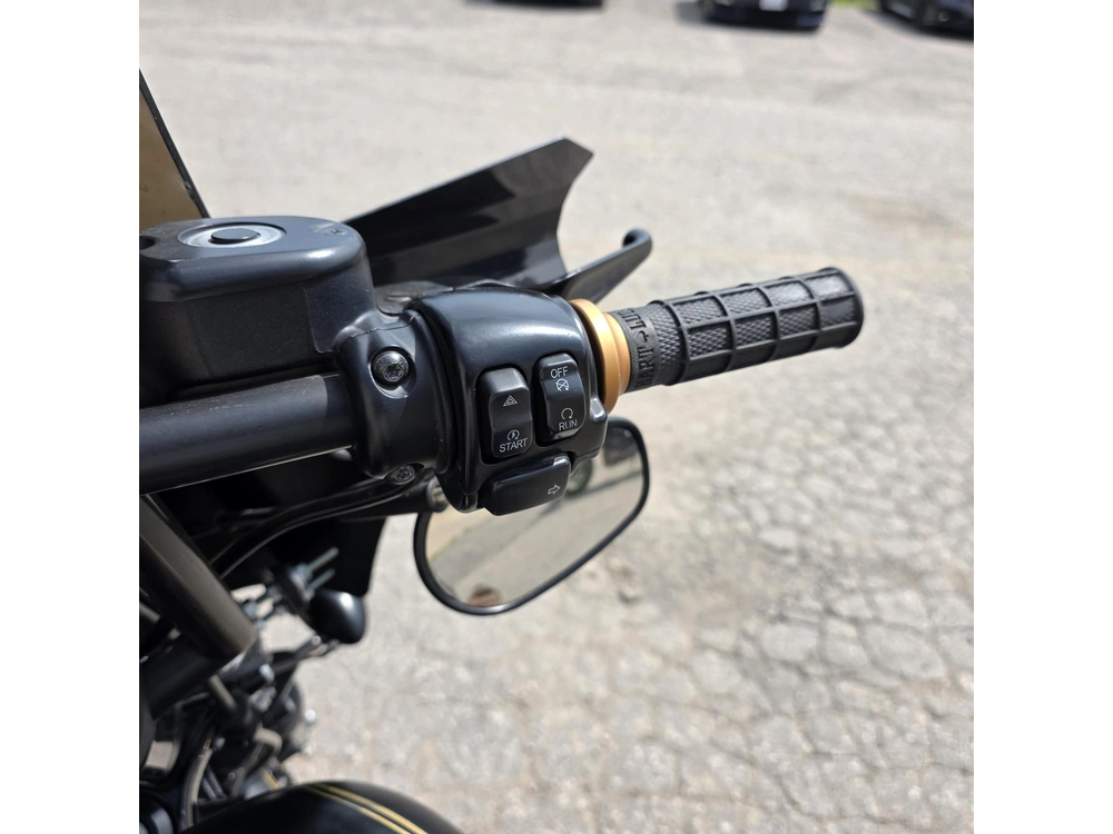 2015 Harley-davidson Xl883n - Sportster Iron 883 alt