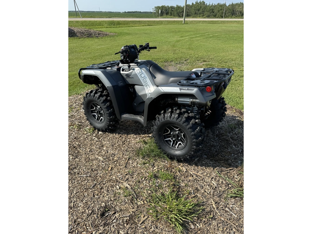 2026 Honda Rubicon Dct Irs Eps, Dlx Gray alt