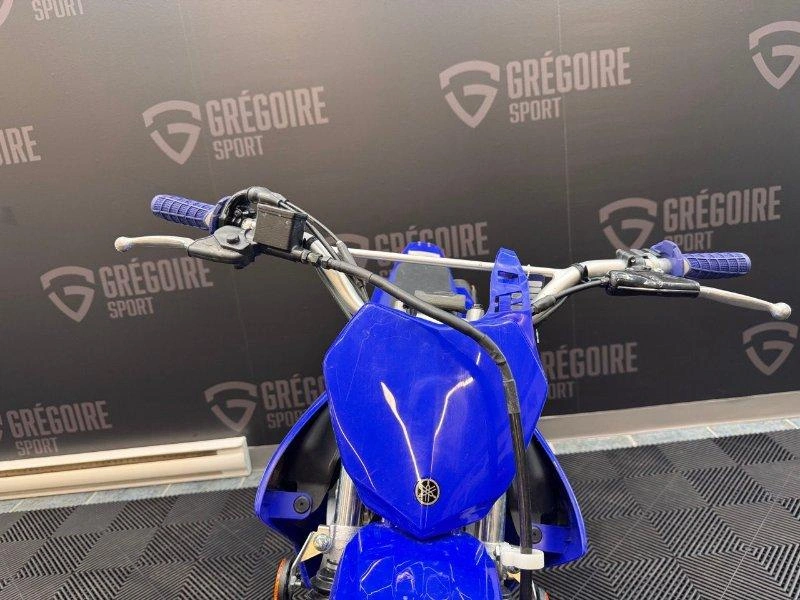 2024 Yamaha Tt-r125le alt