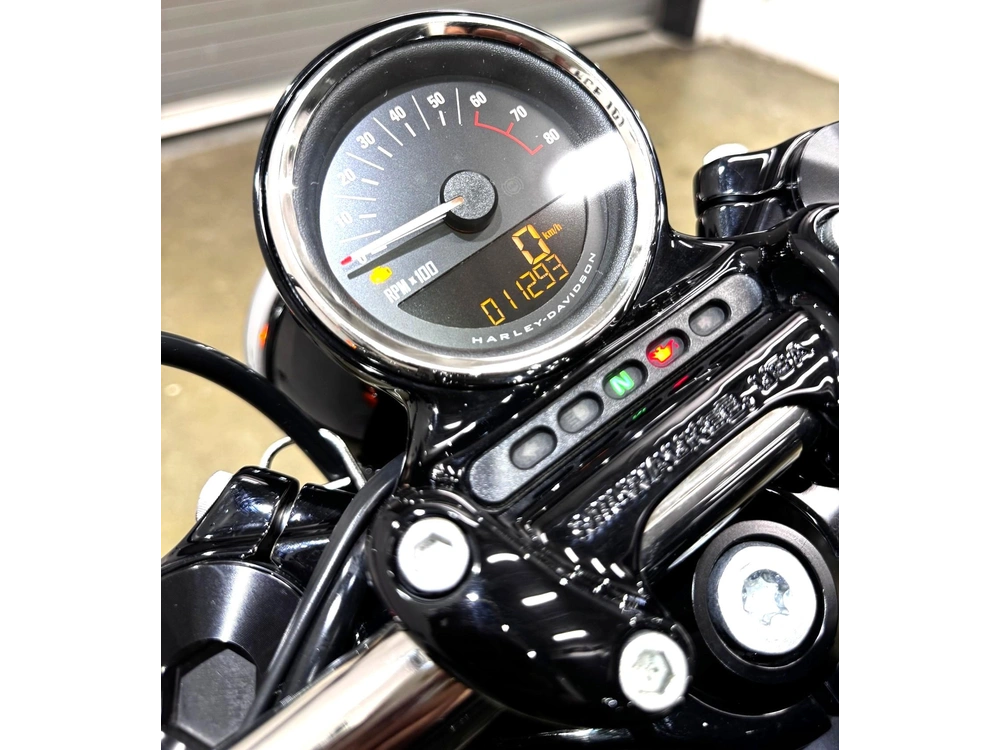 Harley-Davidson ROADSTER 2019 — photo 6
