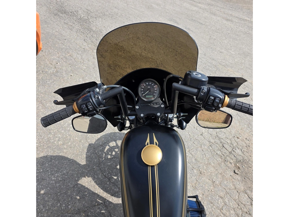 2015 Harley-davidson Xl883n - Sportster Iron 883 alt