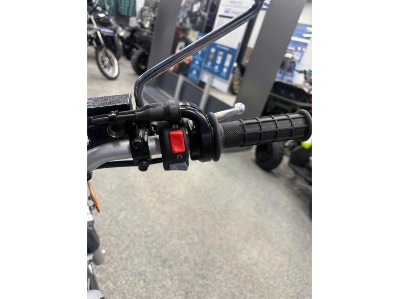 2026 Yamaha Yamaha Tw 200 alt