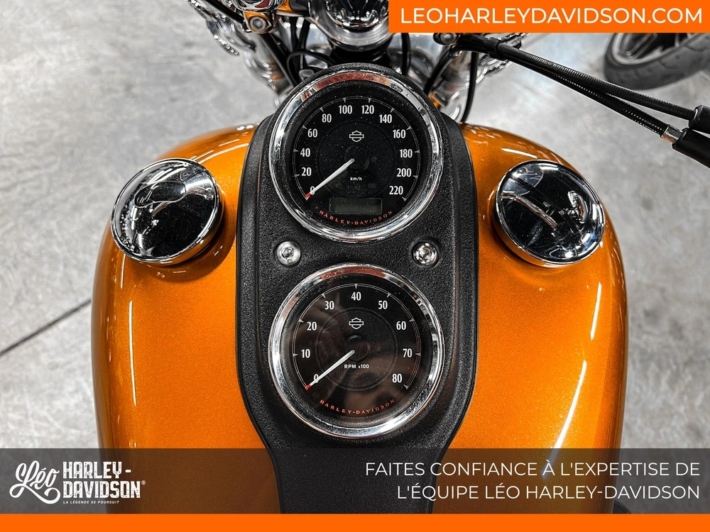 2014 Harley-davidson Fxdl Dyna Low Rider alt