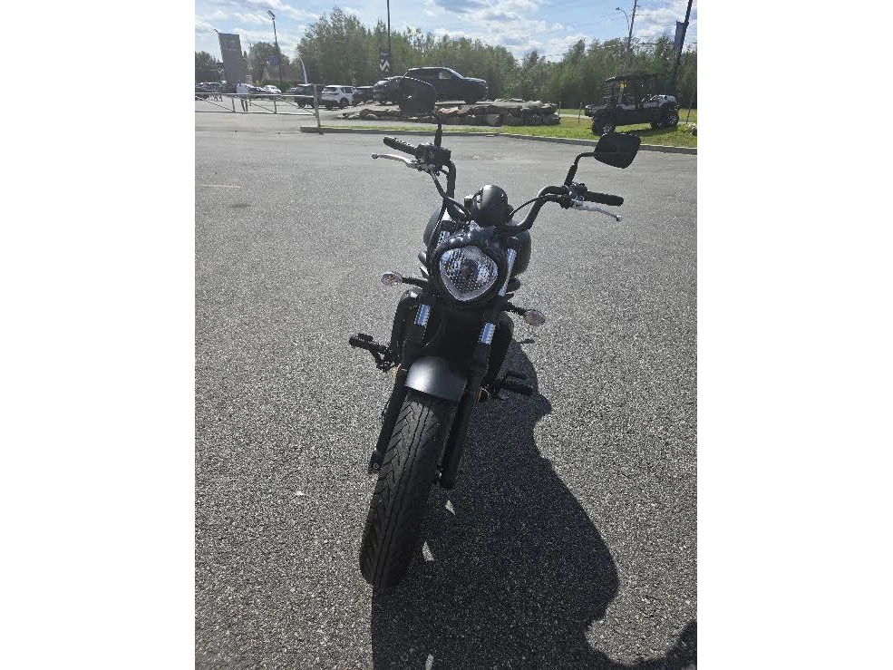 Kawasaki Vulcan S 650 2024 alt