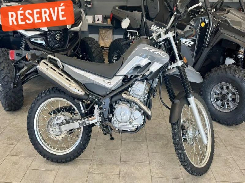 2025 Yamaha Xt250 alt