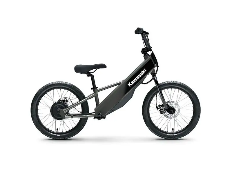 2027 Kawasaki Elektrode 20fs alt