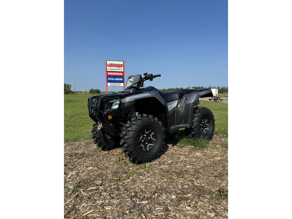 2026 Honda Rubicon Dct Irs Eps, Dlx Gray alt