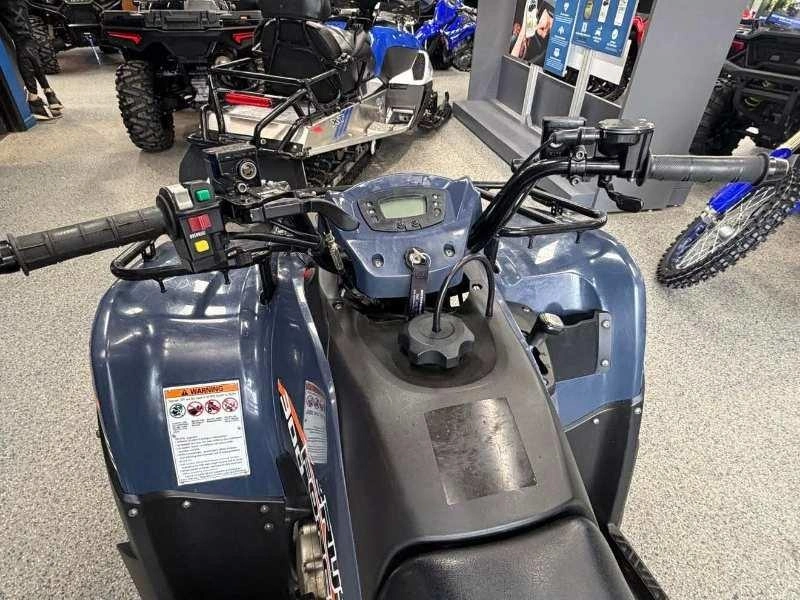 2024 Kawasaki Kawasaki Brute Force 300 2x4 alt