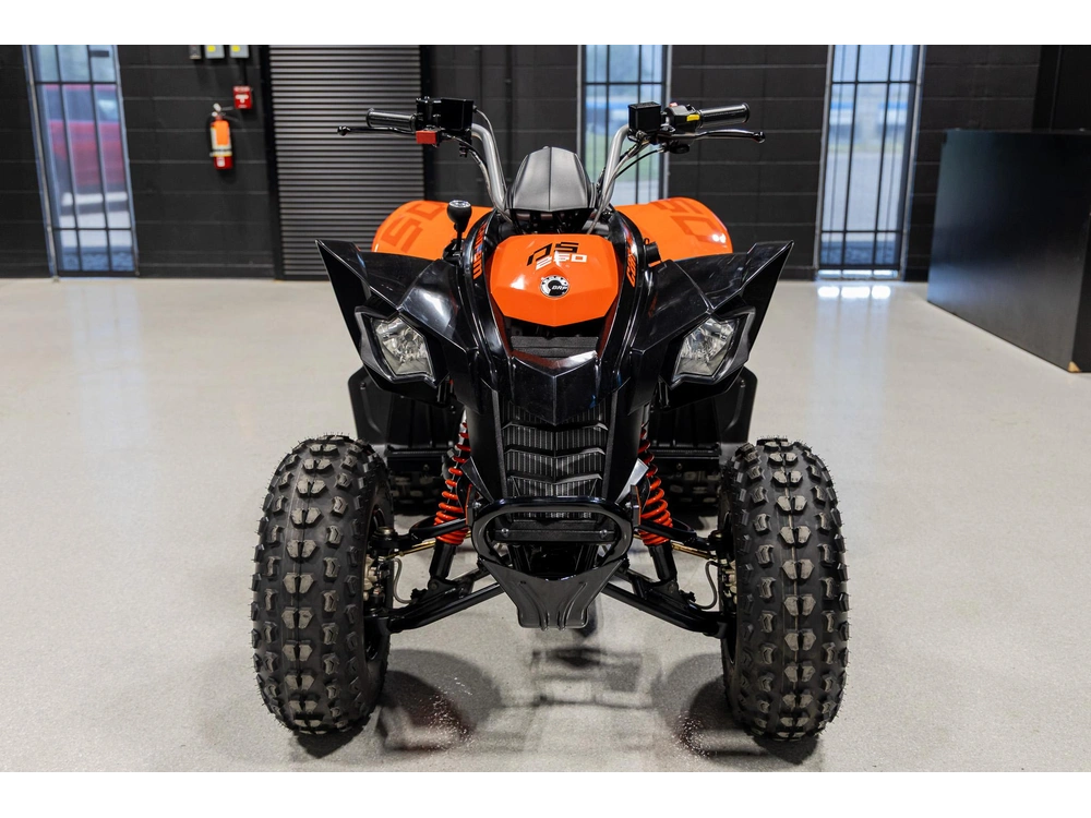 2026 Can-am Ds 250 3jta alt