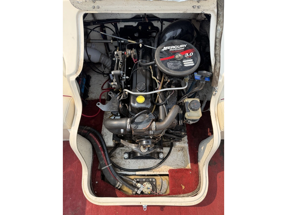 2003 Cutter 175 alt