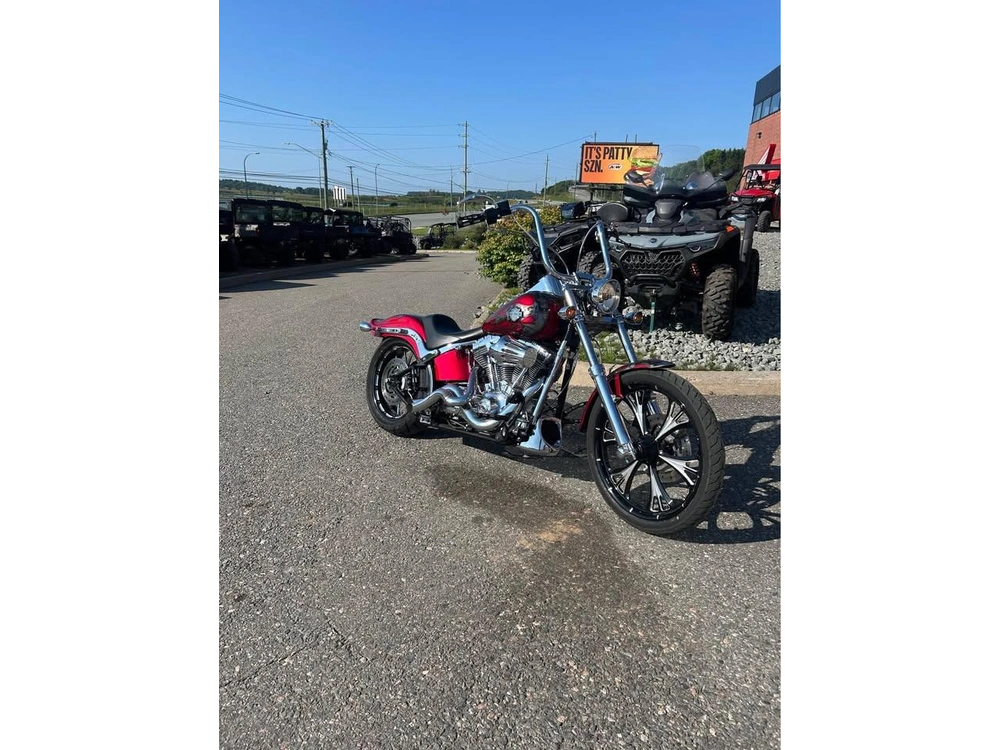 2007 Harley-davidson Softail Standard alt