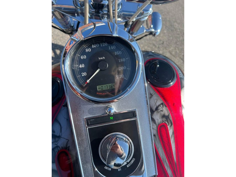 2007 Harley-davidson Softail Standard alt