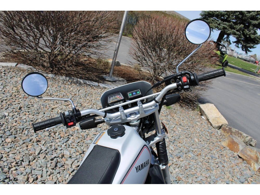 2027 Yamaha Tw200 alt