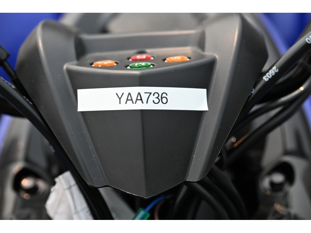 2026 Yamaha Raptor 110 alt