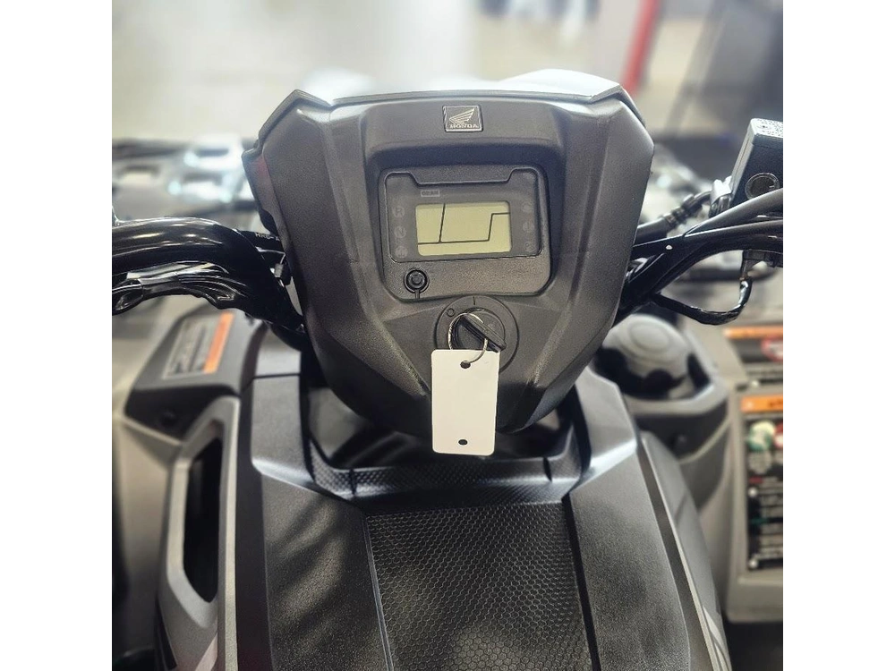 2026 Honda Rubicon 520 Irs Eps alt