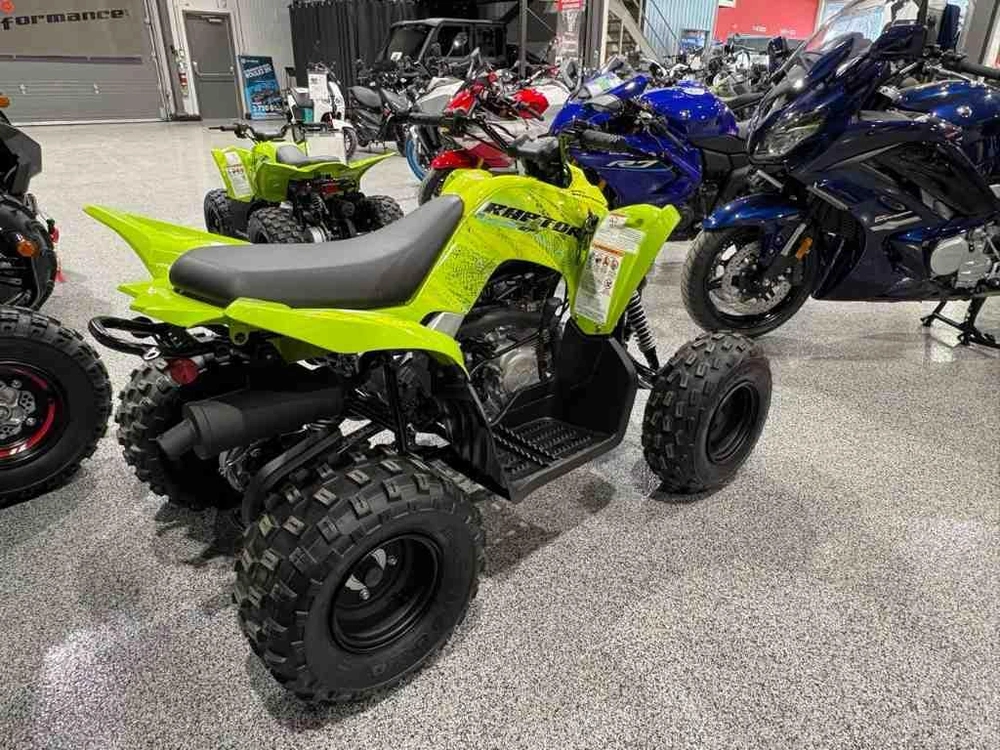 Yamaha Raptor 110 2026 alt